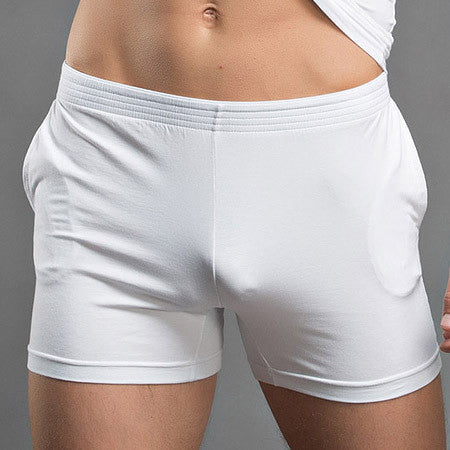 Men's Underwear Boxer Trunks Cotton High Quality Men Underwear Shorts Brand Gay Penis Pouch WJ Man Boxers Home Sleepwear - CelebritystyleFashion.com.au online clothing shop australia