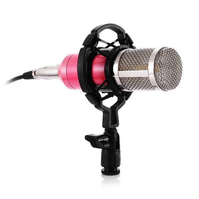 ZEEPIN BM 800 Condenser Sound Recording Microphone with Shock Mount for Radio Braodcasting Singing Black