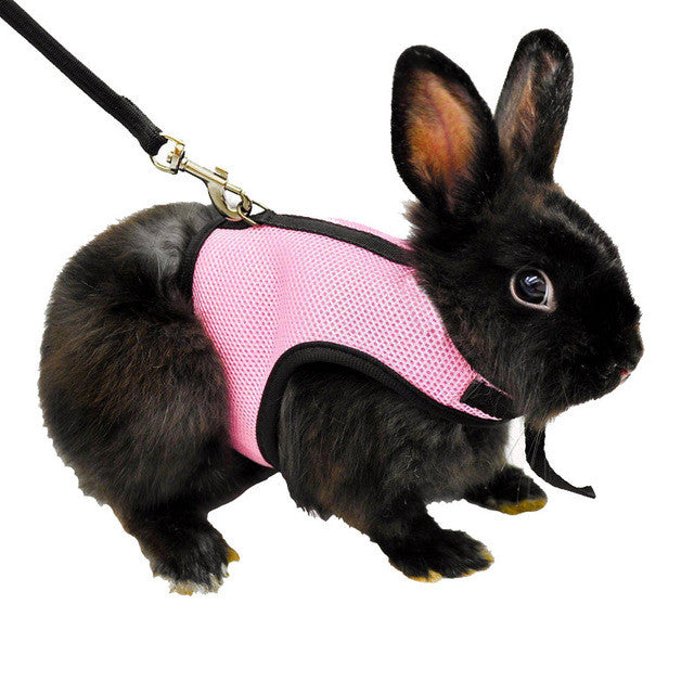 3 Colors Hamster Rabbit Harness And Leash Set Ferret Guinea Pig Small Animal Pet Walk Lead S/M/L