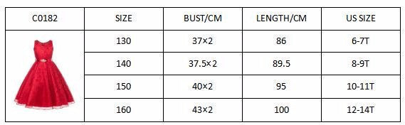 Online discount shop Australia - girl dress ceremony sleeveless V-neck princess dress teenagers girls school prom gowns dresses kids formal clothes