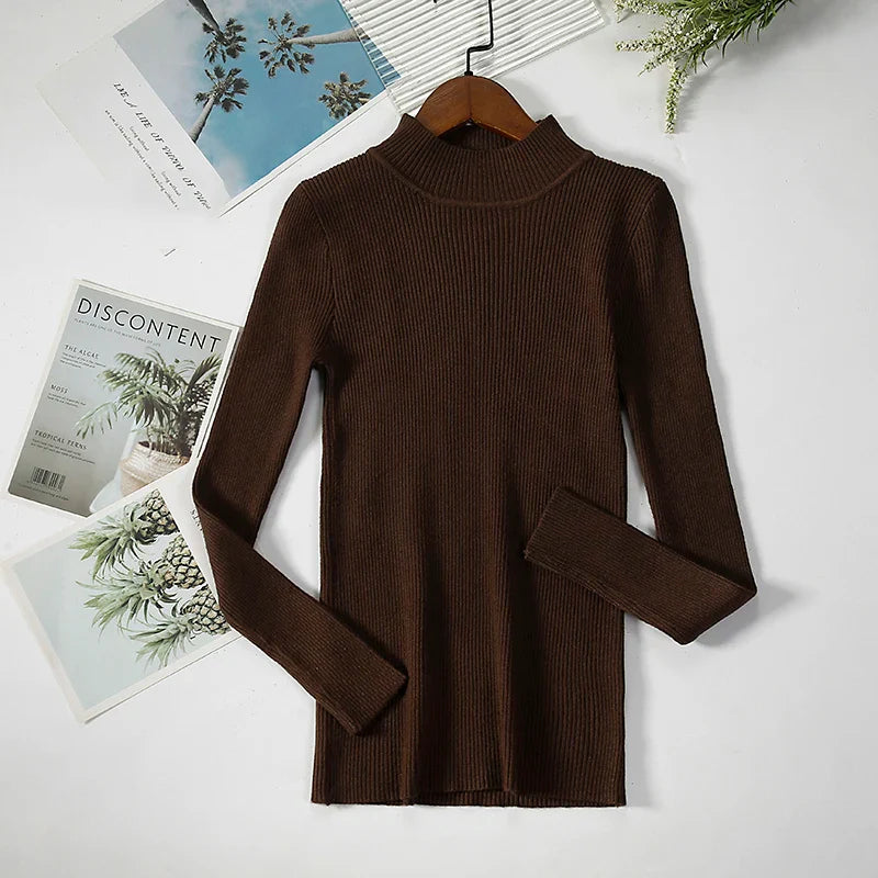Women Turtleneck Sweater Knitted Soft Pullovers cashmere Jumpers Basic Solid Soft Sweaters Women Autumn Winter Casual Top-Dollar Bargains Online Shopping Australia