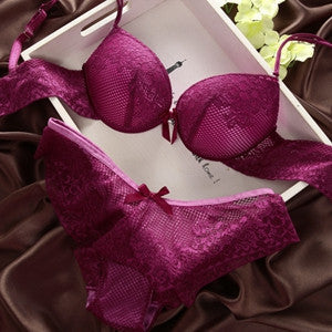 Sexy Women Lace Bra Set Cotton Embroidery Underwear Push Up Bra and Briefs SL16-Dollar Bargains Online Shopping Australia