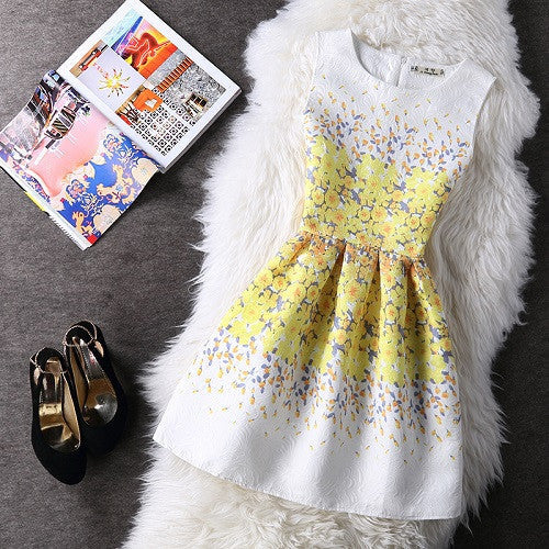 Online discount shop Australia - Fashion Women Summer Autumn Casual Vintage Vest Party Dress Floral Printed Princess Sleeveless Slim Dresses Clothing Vestidos