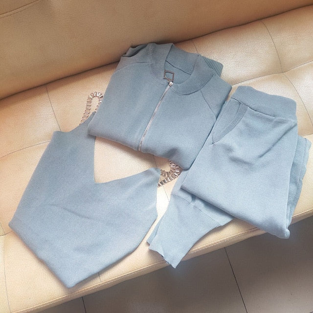 Autumn Knitted Women Sets Solid Sexy Vest Long Sleeve Zipper Cardigans Elastic Waist Pants 3pcs Sets Tracksuits Clothing Women-Dollar Bargains Online Shopping Australia