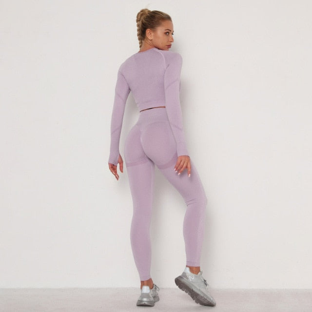 Seamless Women Sport Set For Gym Long Sleeve Top High Waist Belly Control Leggings Clothes Seamless Sport Suit Sexy Booty Girls-Dollar Bargains Online Shopping Australia