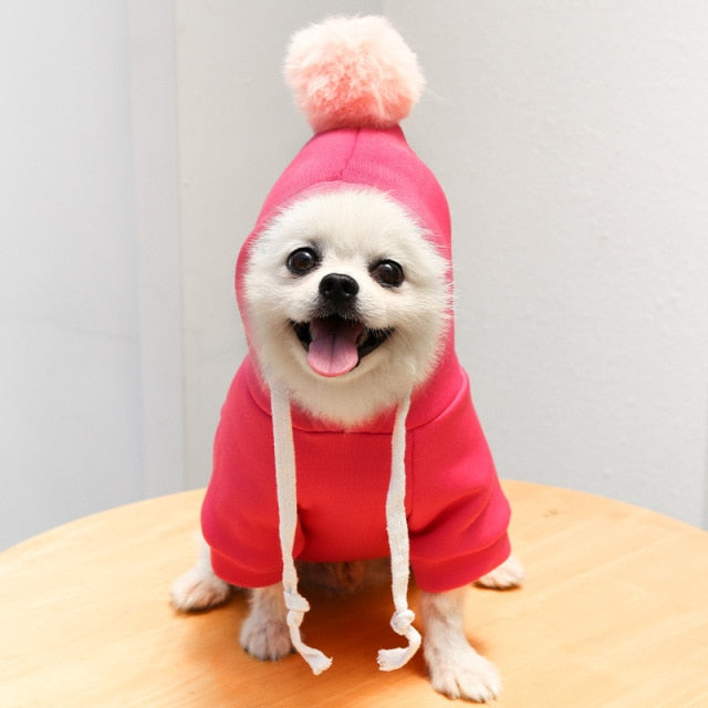 Cute Fruit Dog Clothes for Small Dogs hoodies Warm Fleece Pet Clothing Puppy Cat Costume Coat for French Chihuahua Jacket Suit