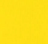 1 Set Women's O Neck Crop Tops And Skirt Set Women Sexy Long Sleeve Autumn Tracksuit Plus Size Tracksuits Women's Suit-Dollar Bargains Online Shopping Australia