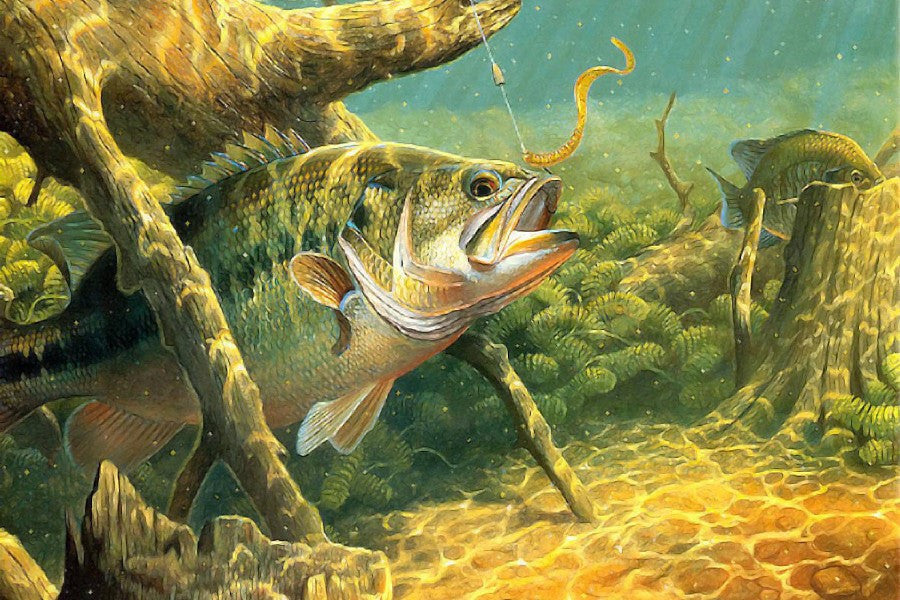 Bass Fishing Lake Sunset Painting Poster Art Silk Fabric Print Picture-Dollar Bargains Online Shopping Australia