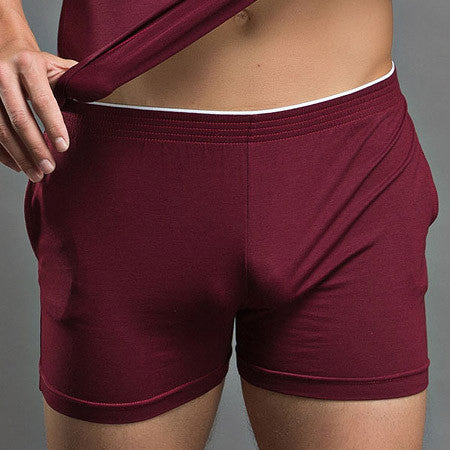 Men's Underwear Boxer Trunks Cotton High Quality Men Underwear Shorts Brand Gay Penis Pouch WJ Man Boxers Home Sleepwear - CelebritystyleFashion.com.au online clothing shop australia