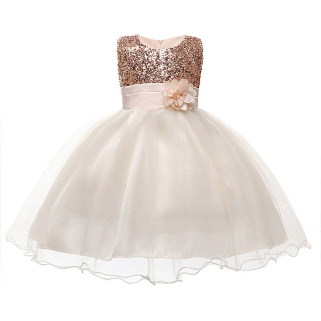 Girls Dresses Birthday Outfits Children Girls Sequins Princess party Dress Kids clothes