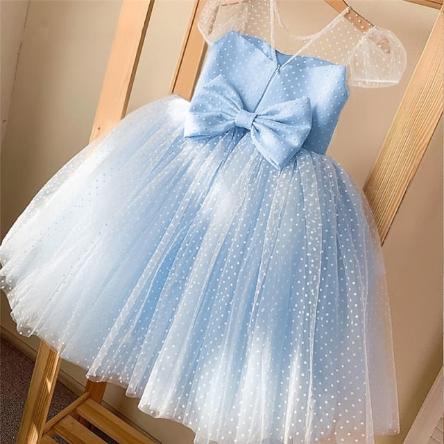 Girls Baby Blue Lace Party Dress - Princess Toddler Dress For Weddings & Events