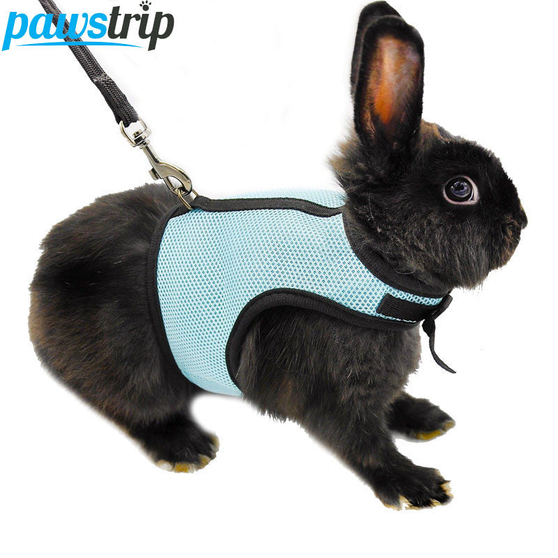 3 Colors Hamster Rabbit Harness And Leash Set Ferret Guinea Pig Small Animal Pet Walk Lead S/M/L