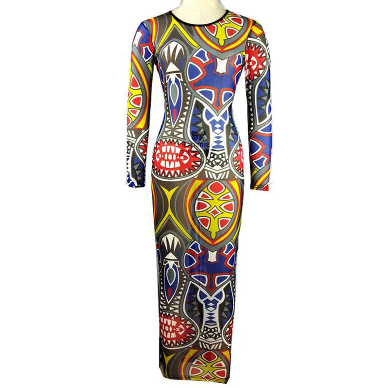 Exotic Designer Retro Sheer Mesh Colorful Printed Dress - CELEBRITYSTYLEFASHION.COM.AU - 4