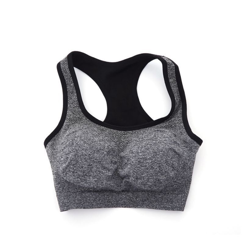 Women Quick Drying Professional Bra Top Vest Underwear Fitness Padded Bra - CelebritystyleFashion.com.au online clothing shop australia