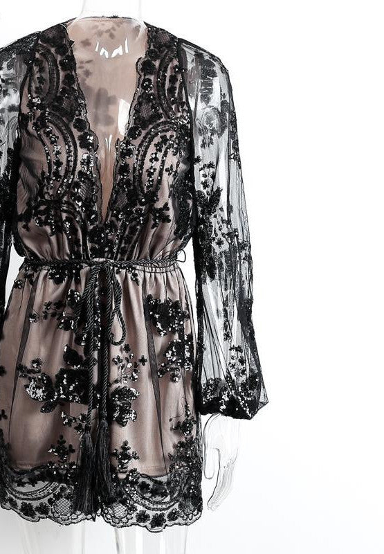 Sequin Embroidery Elegant Transparent Mesh Sleeve Dress - CelebritystyleFashion.com.au online clothing shop australia