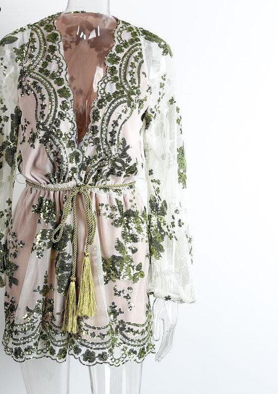 Sequin Embroidery Elegant Transparent Mesh Sleeve Dress - CelebritystyleFashion.com.au online clothing shop australia