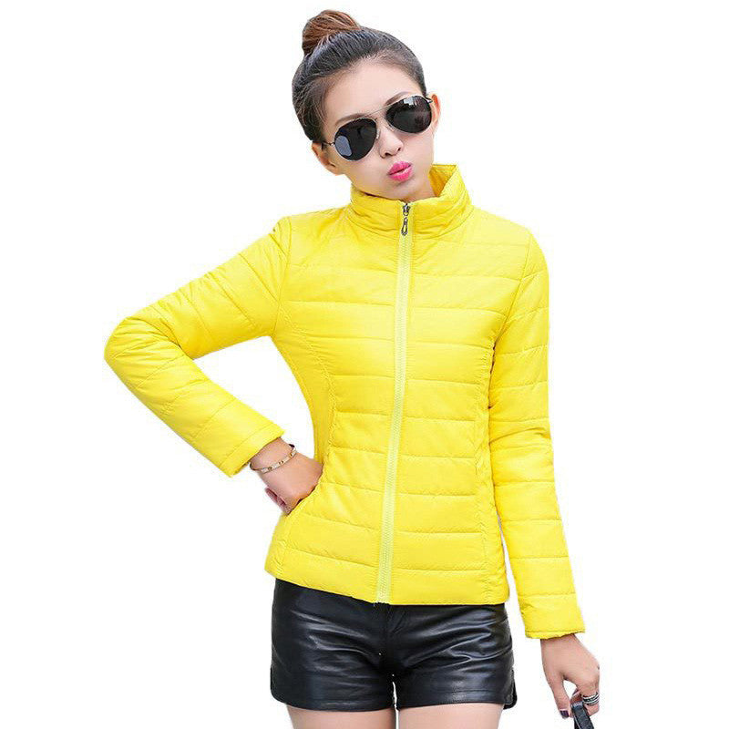 women's jacket to keep warm in winter padded silk ladies fashion casual Slim padded winter jacket 269T - CelebritystyleFashion.com.au online clothing shop australia